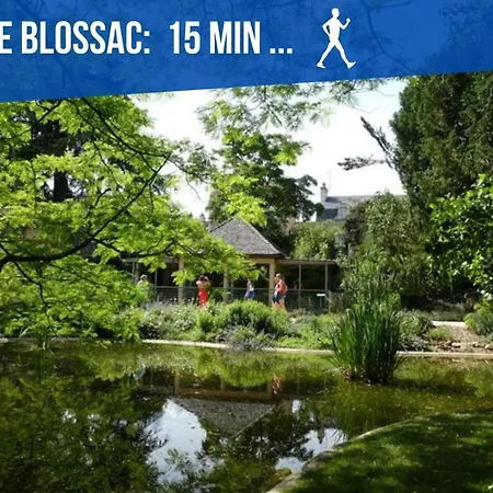 Appartement Simplicien *cosy* Plein Centre De *tv* Wifi *cafe* Poitiers