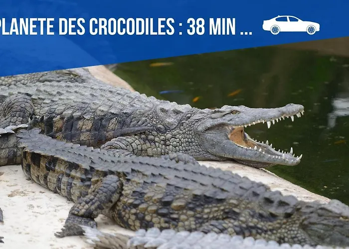 Simplicien *cosy* Plein Centre De *tv* Wifi *café*