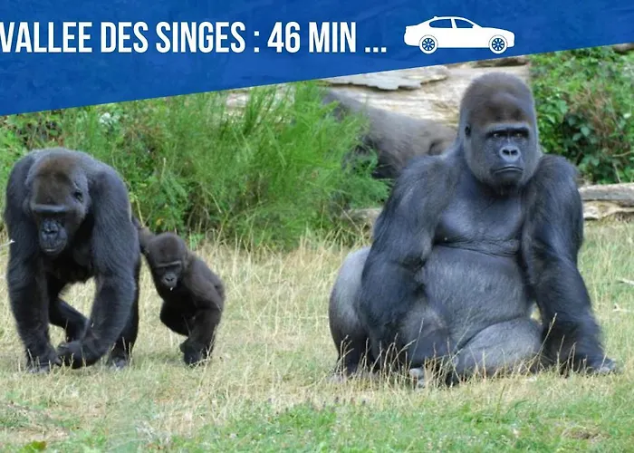 Апартаменти Simplicien *cosy* Plein Centre De *tv* Wifi *cafe* Пуатьє